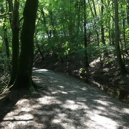 Little Pinfold 度假居 *
