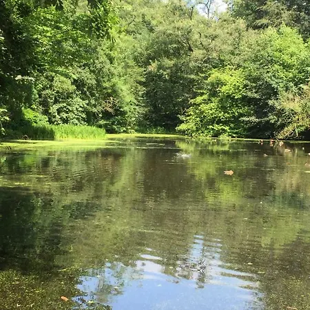 Dom wakacyjny Little Pinfold Skipton