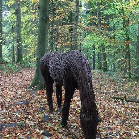 Little Pinfold 別荘