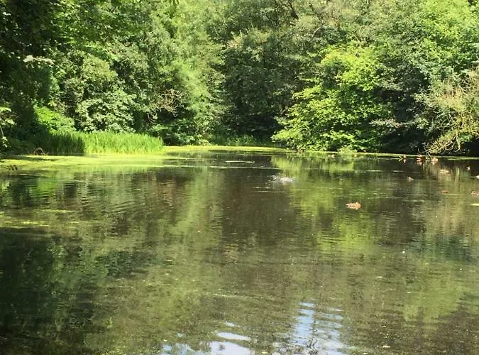 Сasa de vacaciones Little Pinfold Skipton